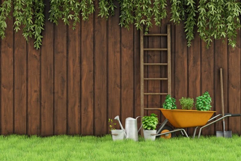 Palissage de plante grimpante : les étapes pour une clôture !