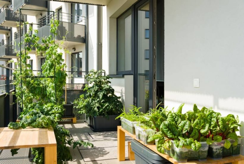 Vivre en appartement et avoir un jardin sur son balcon : la nouvelle tendance