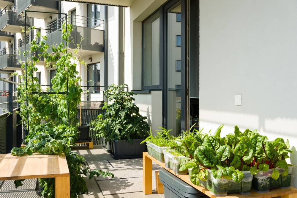 Vivre en appartement et avoir un jardin sur son balcon