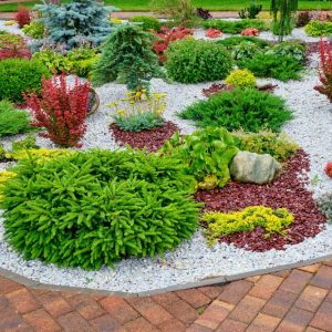 Aménager un petit jardin sans pelouse : conseils et idées pour un espace vert agréable