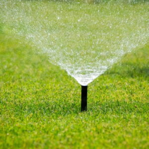 Choisir un bon système d’arrosage pour jardin extérieur : conseils et solutions